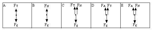 mc013-1.jpg